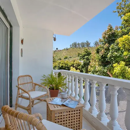 Picarus تاكورونتي