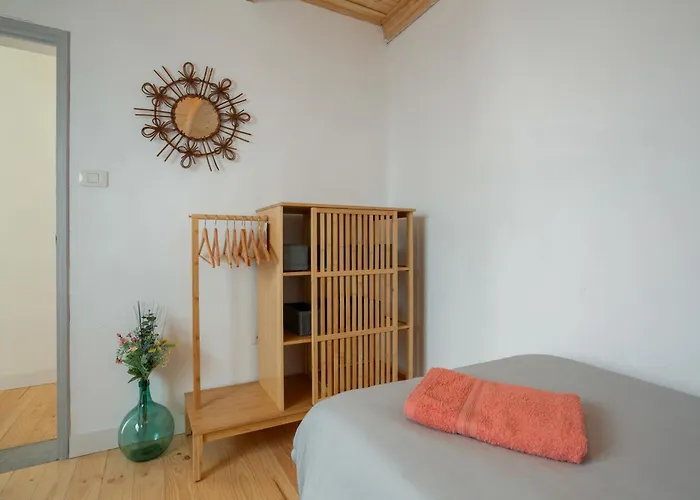 Picarus 塔科龙特