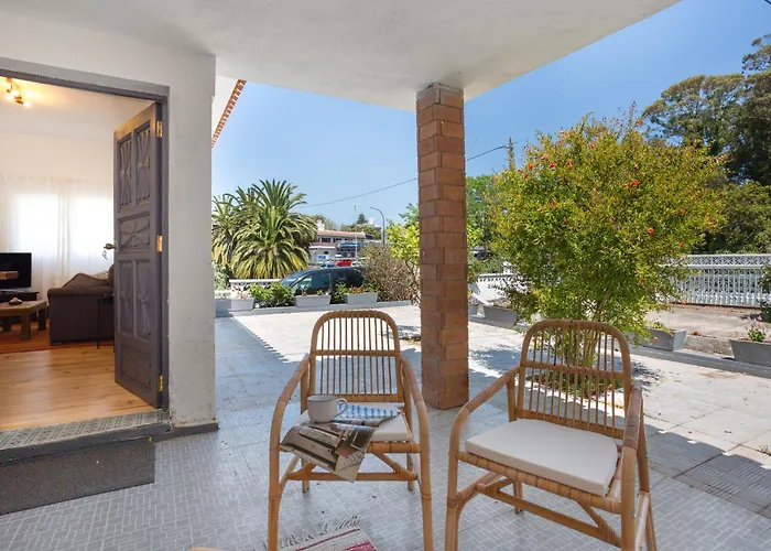 Picarus 塔科龙特