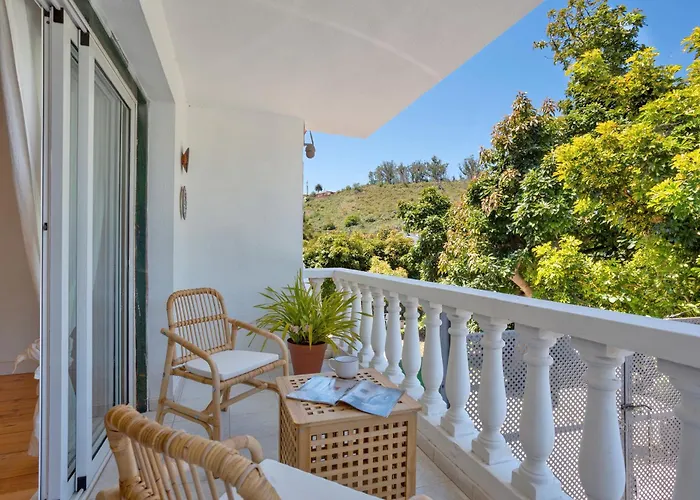 Picarus 塔科龙特